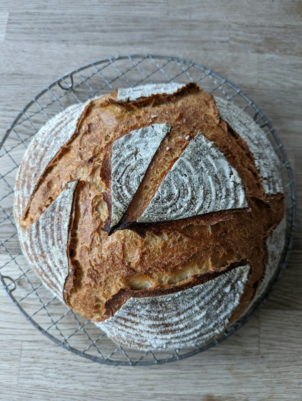 Stockfoto: runder, rustikal gebackener Brotlaib auf einem Abkühlgitter. Foto: Jens Meyers / Unsplash.